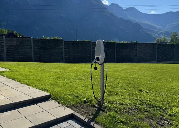 Austrian * Bad Goisern